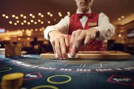 Tampilan antarmuka aplikasi xotogel untuk mobile dan desktop yang responsif